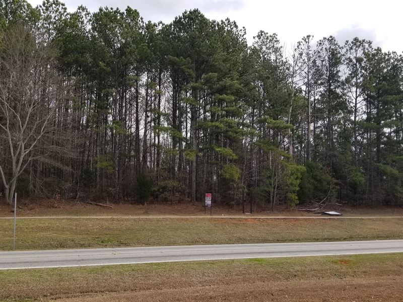 2 Wooded Development Tracts : Palmetto : Fulton County : Georgia