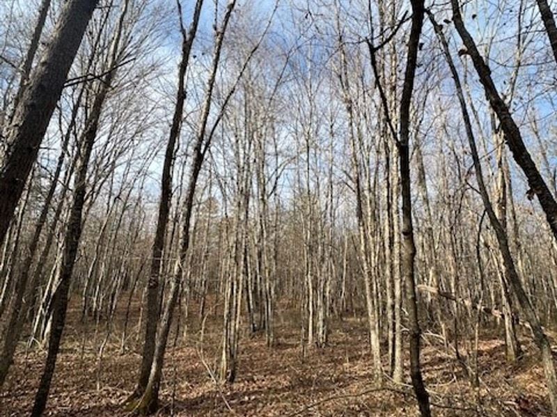 5.46 Acres Wooded Level Property : Sequatchie : Marion County : Tennessee