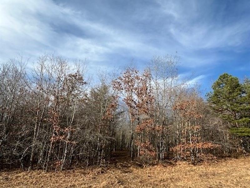 5.03 Acres Wooded Level Property : Sequatchie : Marion County : Tennessee
