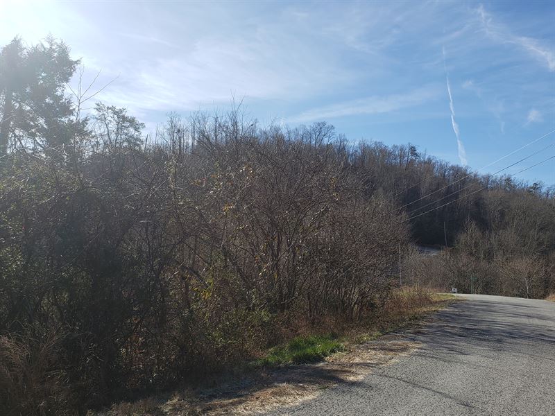 1.31 Acre Mostly Level Building Lot : New Tazewell : Claiborne County : Tennessee