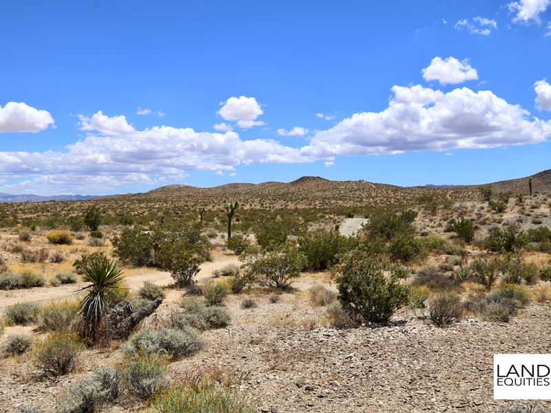 Best Deal in Yucca Valley $149 /Mo : Yucca Valley : San Bernardino County : California