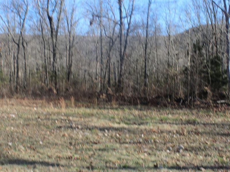 Great Property Just Out Of Marshall : Marshall : Searcy County : Arkansas
