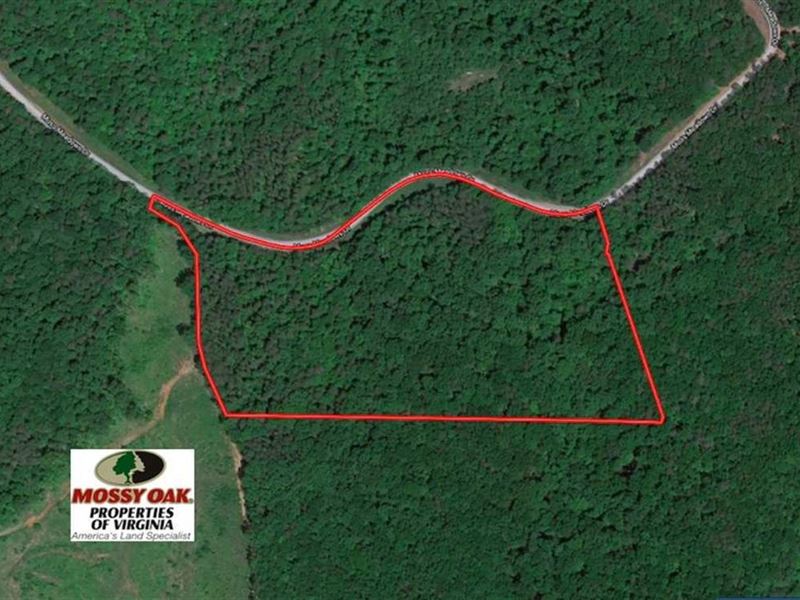 Reduced, 16 Acres of Residential LA : Pittsville : Bedford County : Virginia