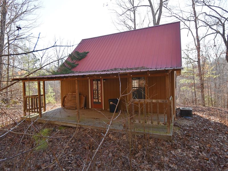 19.41 Wooded Acres-Cabin-2 Bedroom : Lobelville : Perry County : Tennessee