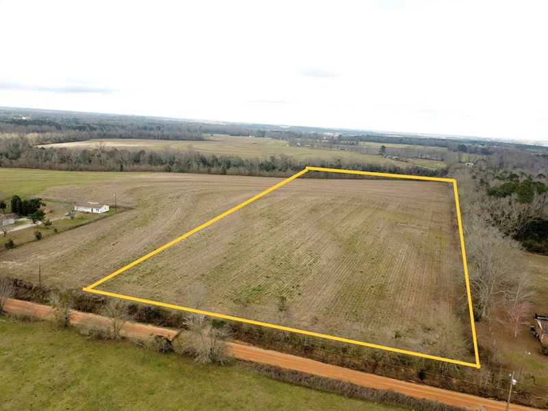 14 Acres Scott Road, Slocomb, AL : Slocomb : Geneva County : Alabama
