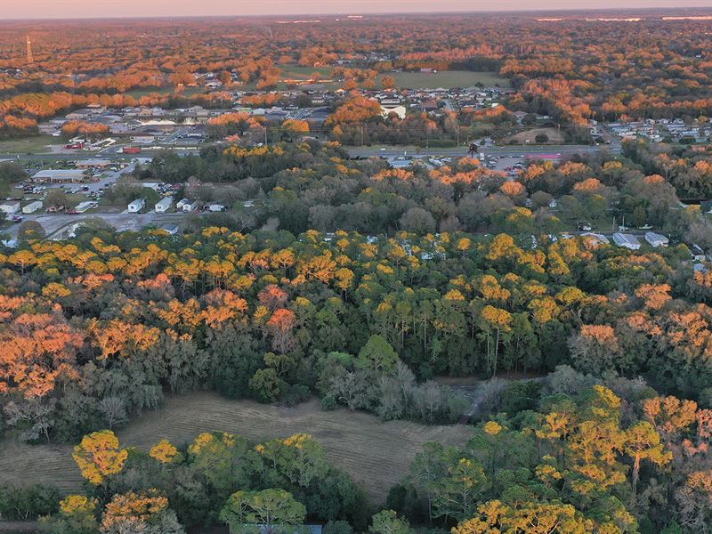 North Lakeland 10 Acre Home Site : Lakeland : Polk County : Florida