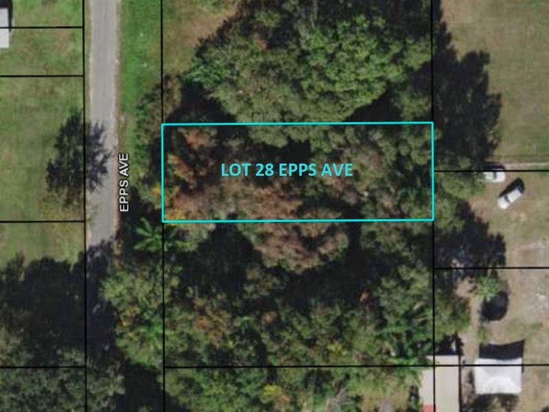 Your Florida Dream in Bowling Green : Bowling Green : Hardee County : Florida