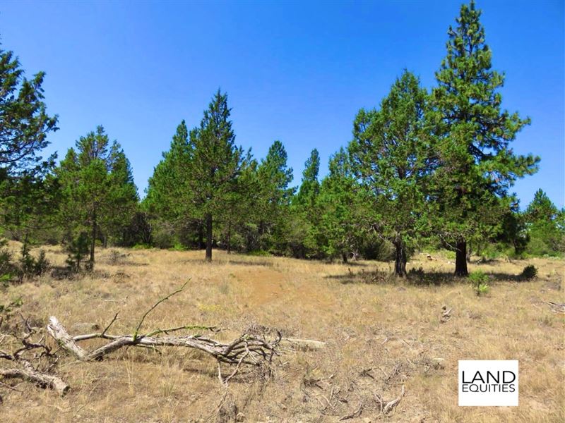 Secluded Lot Near National Forest : Bonanza : Klamath County : Oregon