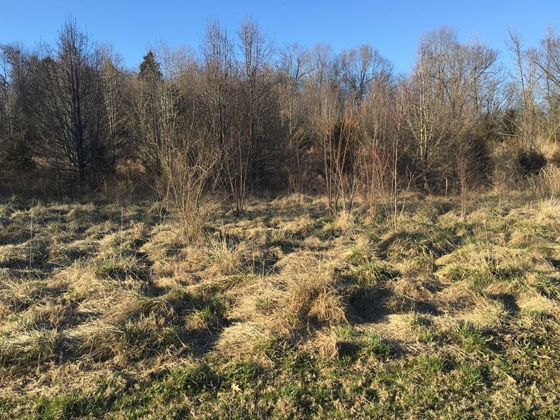 AR Land Town, 3 City Lots 1.67 : Pocahontas : Randolph County : Arkansas