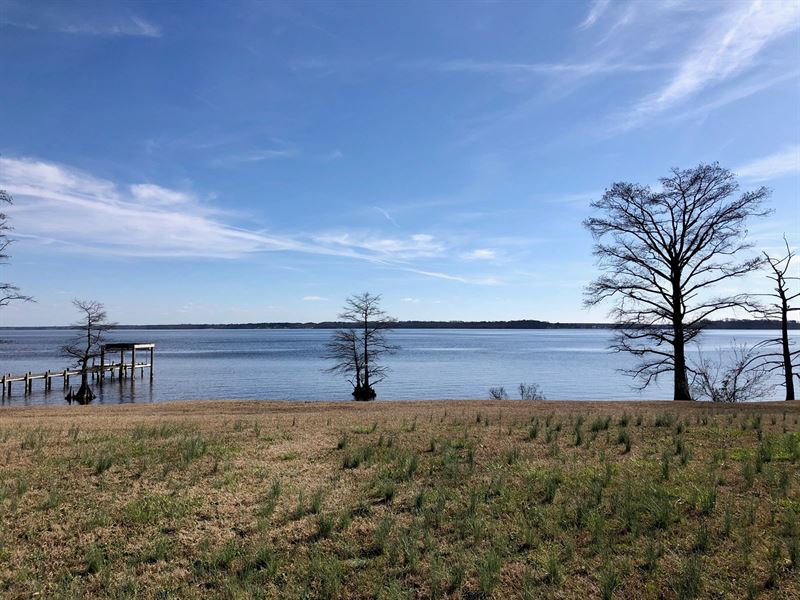 Bulkeaded Riverfront Lot Ready to : Hertford : Perquimans County : North Carolina