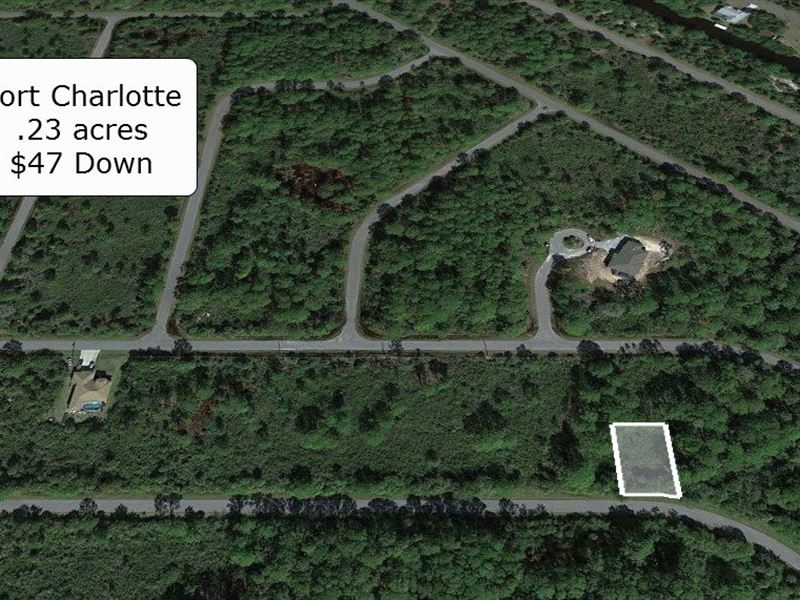 .23 Acre Lot on Paved Road : Port Charlotte : Charlotte County : Florida