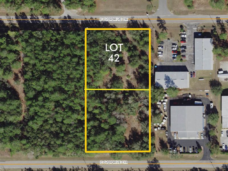 Citrus Industrial Lot 42 : Hernando : Citrus County : Florida