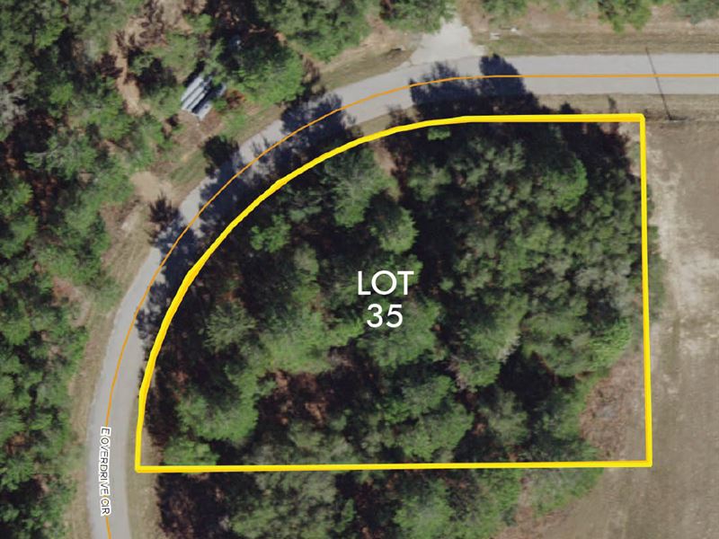 Citrus County Industrial Lot 35 : Hernando : Citrus County : Florida