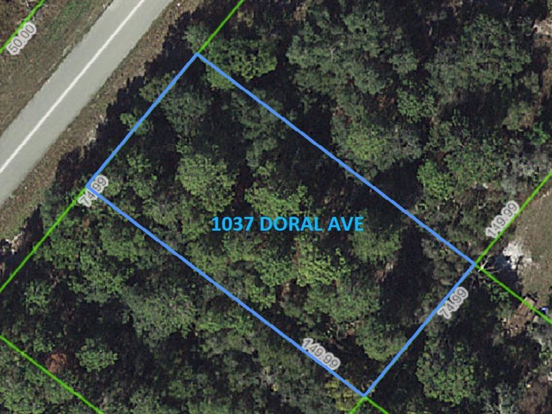 Quarter Acre in Lovely Lake Placid : Lake Placid : Highlands County : Florida