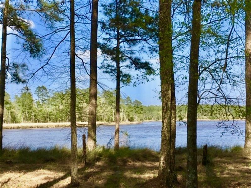 Waterfront Homesite in Beaufort CO : Belhaven : Beaufort County : North Carolina