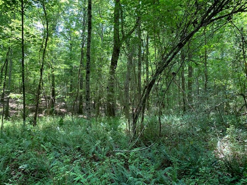 3.28 +- Acres Coots Lake Road : Rockmart : Polk County : Georgia