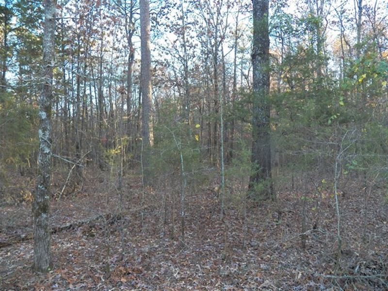 4.35 Acres Located Close to Mena : Mena : Polk County : Arkansas