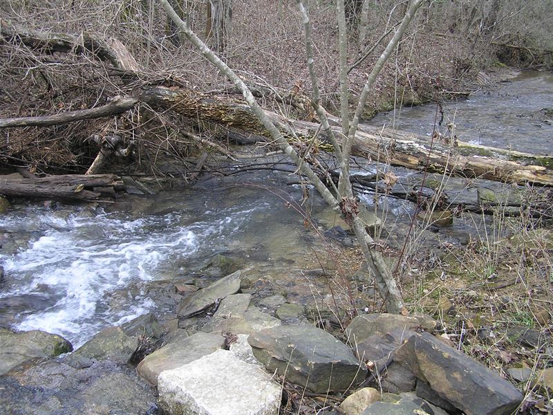 Creek, Woods, No Restrictions : Palmer : Grundy County : Tennessee