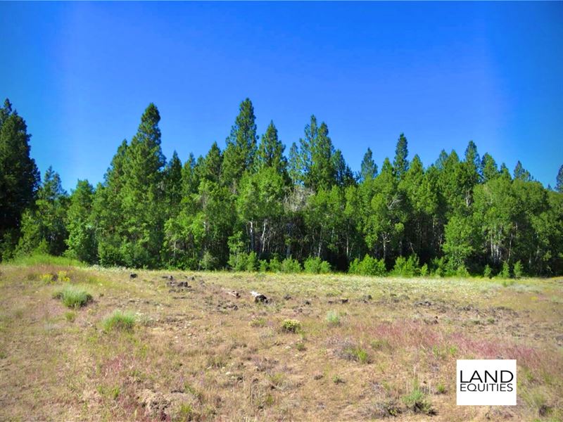 Seasonal Creek, Trees & Privacy : Beatty : Klamath County : Oregon