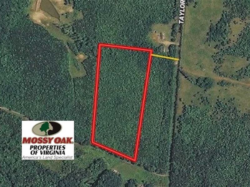 Reduced, 15.97 Acres of Hunting : Boydton : Mecklenburg County : Virginia