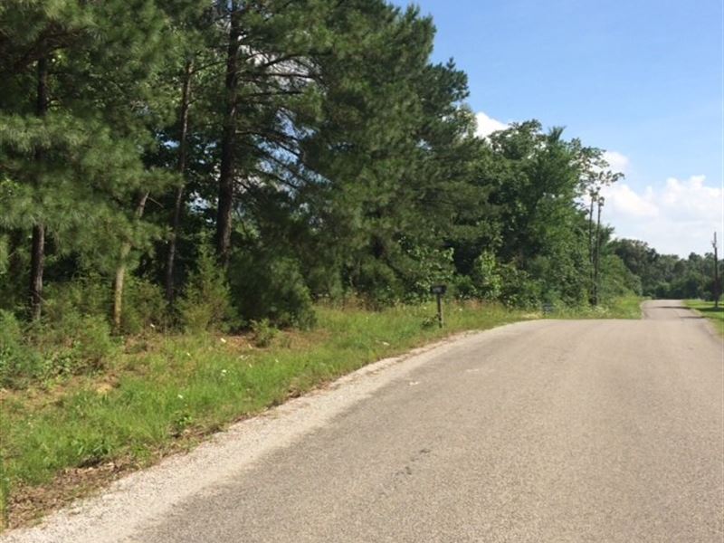 Building Lot Pocahontas, Arkansas : Pocahontas : Randolph County : Arkansas