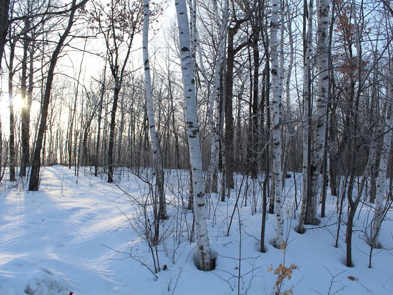 Mille Lacs County Lots for Sale : Garrison : Mille Lacs County : Minnesota
