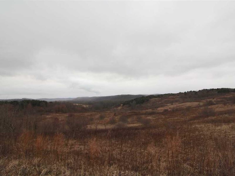 TR 118, 16 Acres : Kimbolton : Coshocton County : Ohio