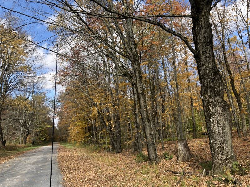 Maple Meadows : Osceola : Lewis County : New York