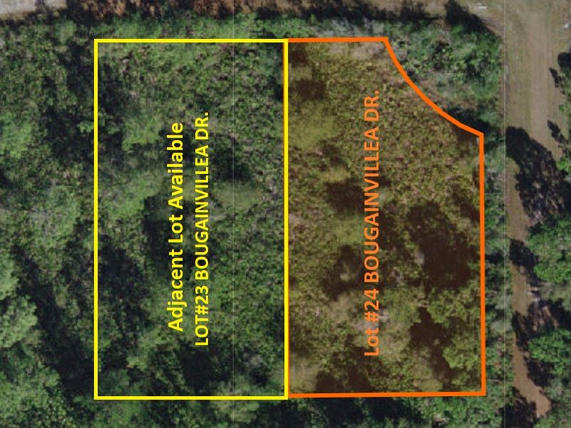 .50 Corner Lot in Indian Lakes : Indian Lake Estates : Polk County : Florida