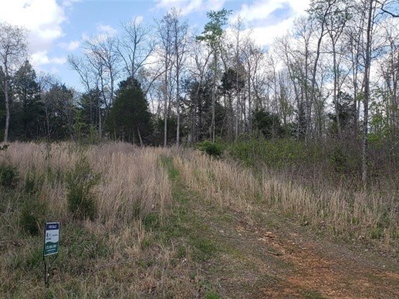 15 Acres in Southeast Missouri : Gatewood : Ripley County : Missouri