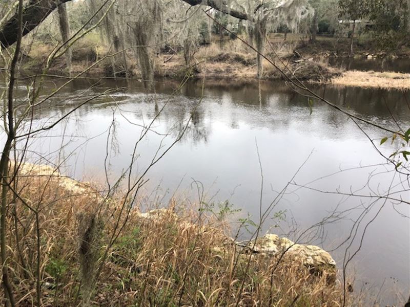 Just in Time for Summer : O Brien : Suwannee County : Florida