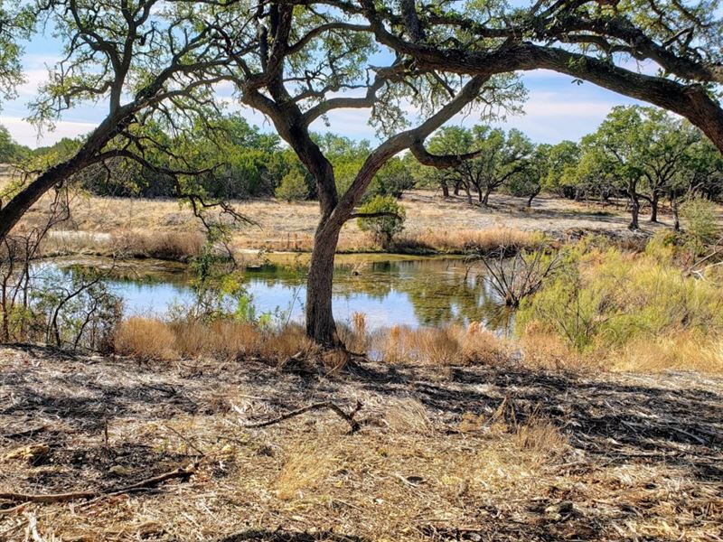 10.01 Acres Bertram, TX : Bertram : Burnet County : Texas