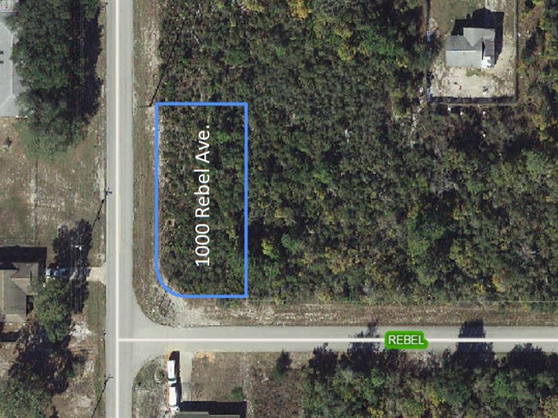 .26 Acre Placid Lakes Lot Near Lake : Lake Placid : Highlands County : Florida