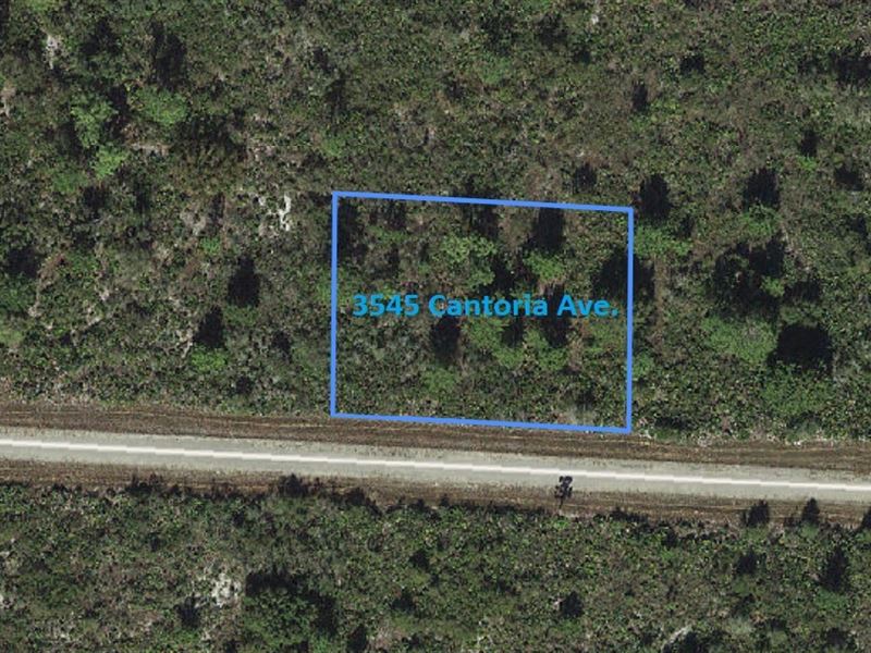 Lot Awaits Your Vision, Lake Placid : Lake Placid : Highlands County : Florida