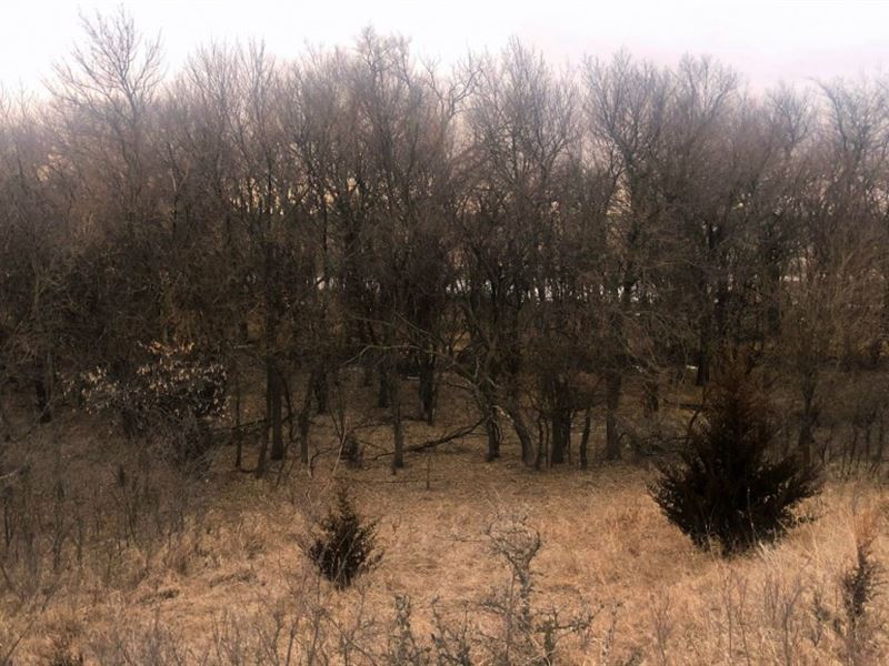 Fillmore County Hunters Hideaway : Geneva : Fillmore County : Nebraska