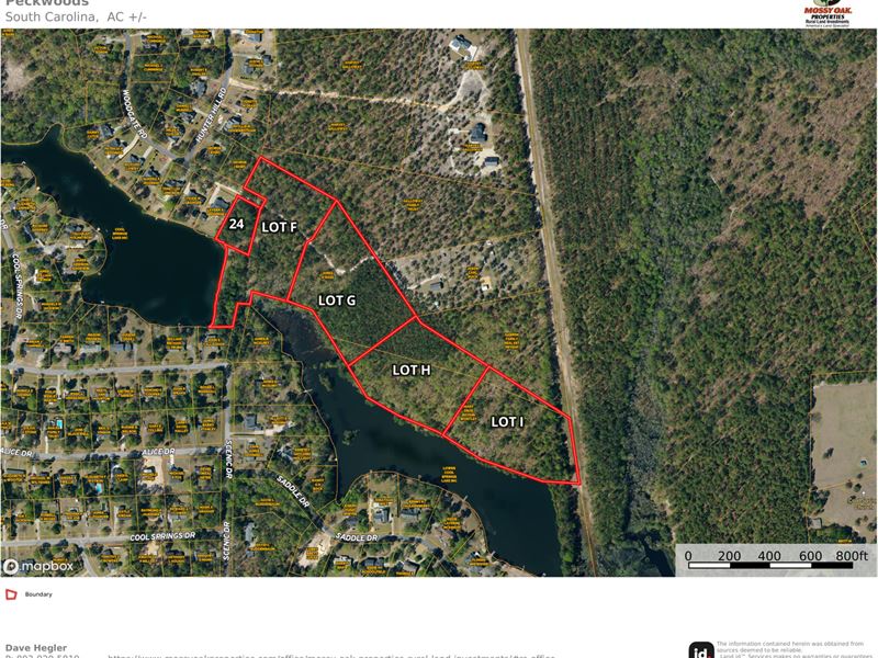 Peckwoods Lower Lake Lot : Camden : Kershaw County : South Carolina