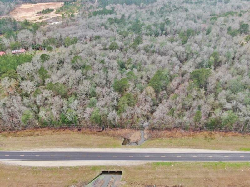 16.5 Acres Land for Sale Near Richt : Richton : Perry County : Mississippi