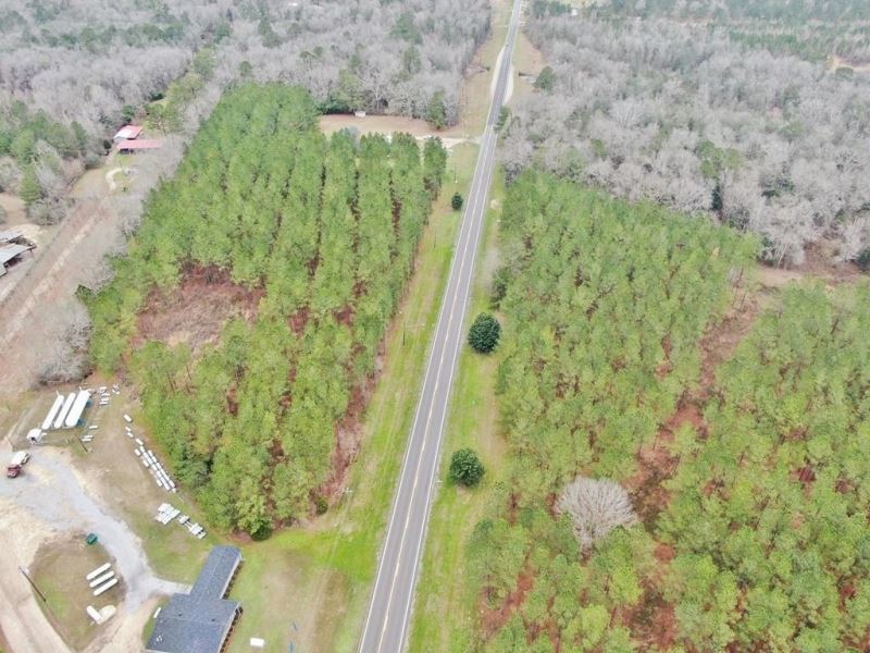 6 Acres Land for Sale Inside Richto : Richton : Perry County : Mississippi