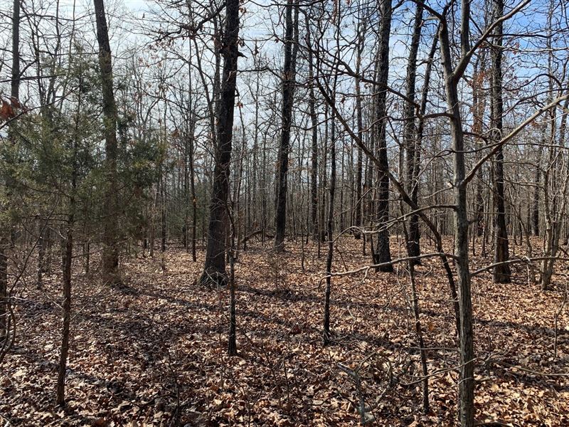 Land, Great Deer Turkey Hunting : Ravenden Springs : Randolph County : Arkansas