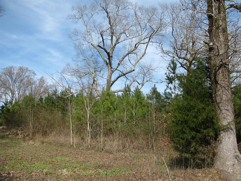 Country Building Lot Kossuth, MS : Corinth : Alcorn County : Mississippi