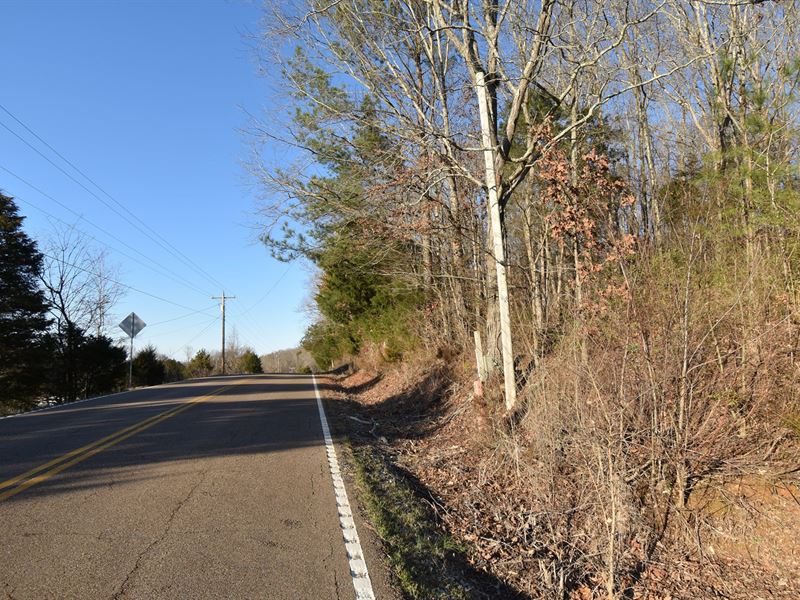 2 Wooded Acres Tennessee River : Linden : Perry County : Tennessee