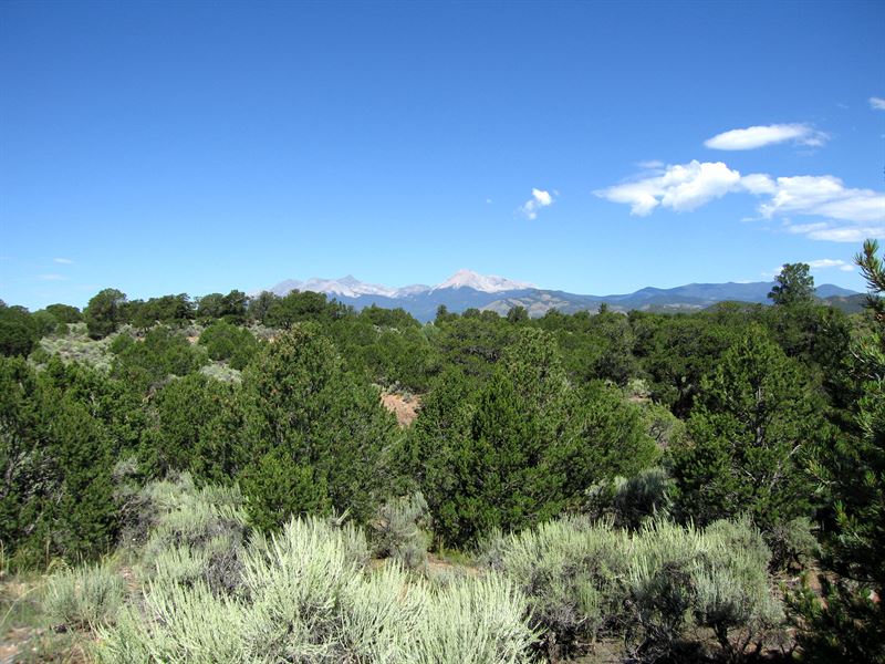 Best Fall Foliage On Your Own Land : Fort Garland : Costilla County : Colorado