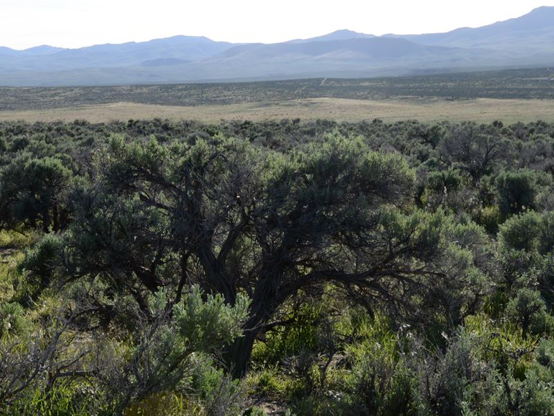 Private and Peaceful, $100/Month : Elko : Elko County : Nevada