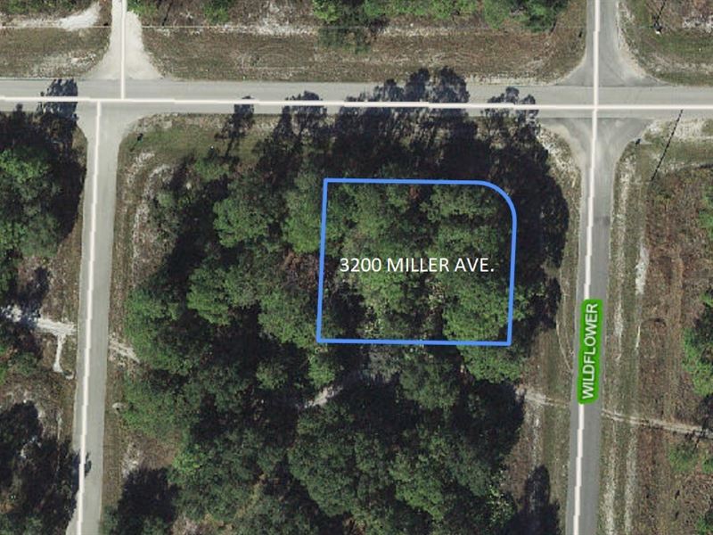 Corner Lot in Highland County : Lake Placid : Highlands County : Florida