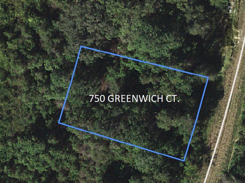 Priced to Sell in Lake Placid : Lake Placid : Highlands County : Florida