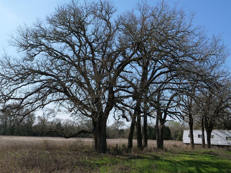 Nice 8.22 Acres : Rockdale : Milam County : Texas