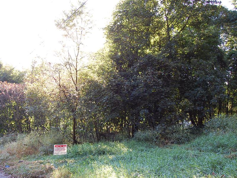 Roomy Residential in Neighborhood : Jamestown : Chautauqua County : New York