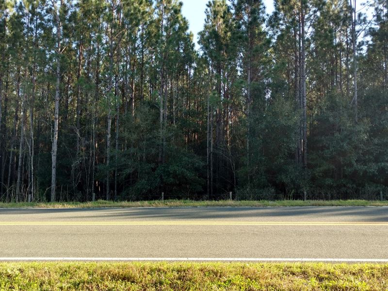 Highway Frontage 17.1 Acres Between : Fort White : Columbia County : Florida