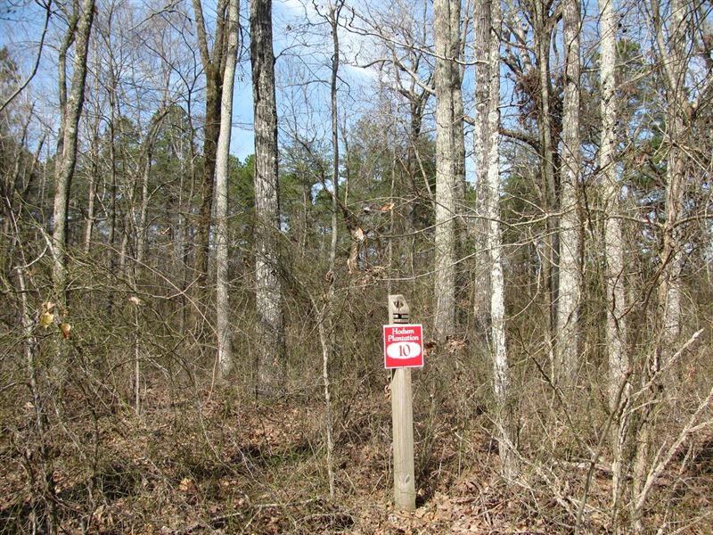 Great Building Lot Kossuth, MS : Corinth : Alcorn County : Mississippi