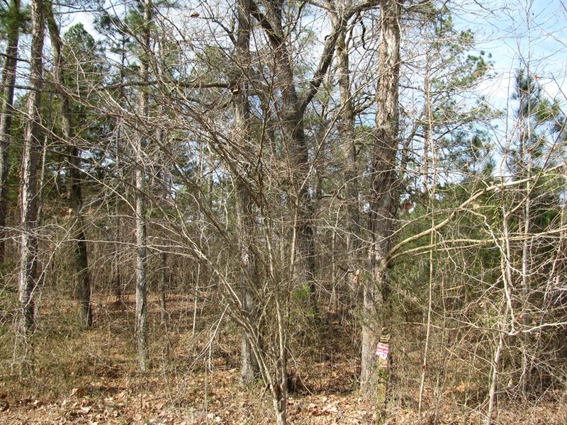 Good Building Lot Kossuth, MS : Corinth : Alcorn County : Mississippi